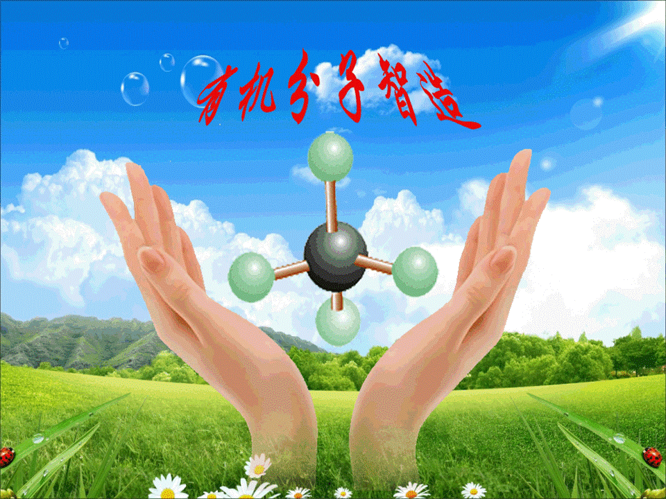 77779193永利官网