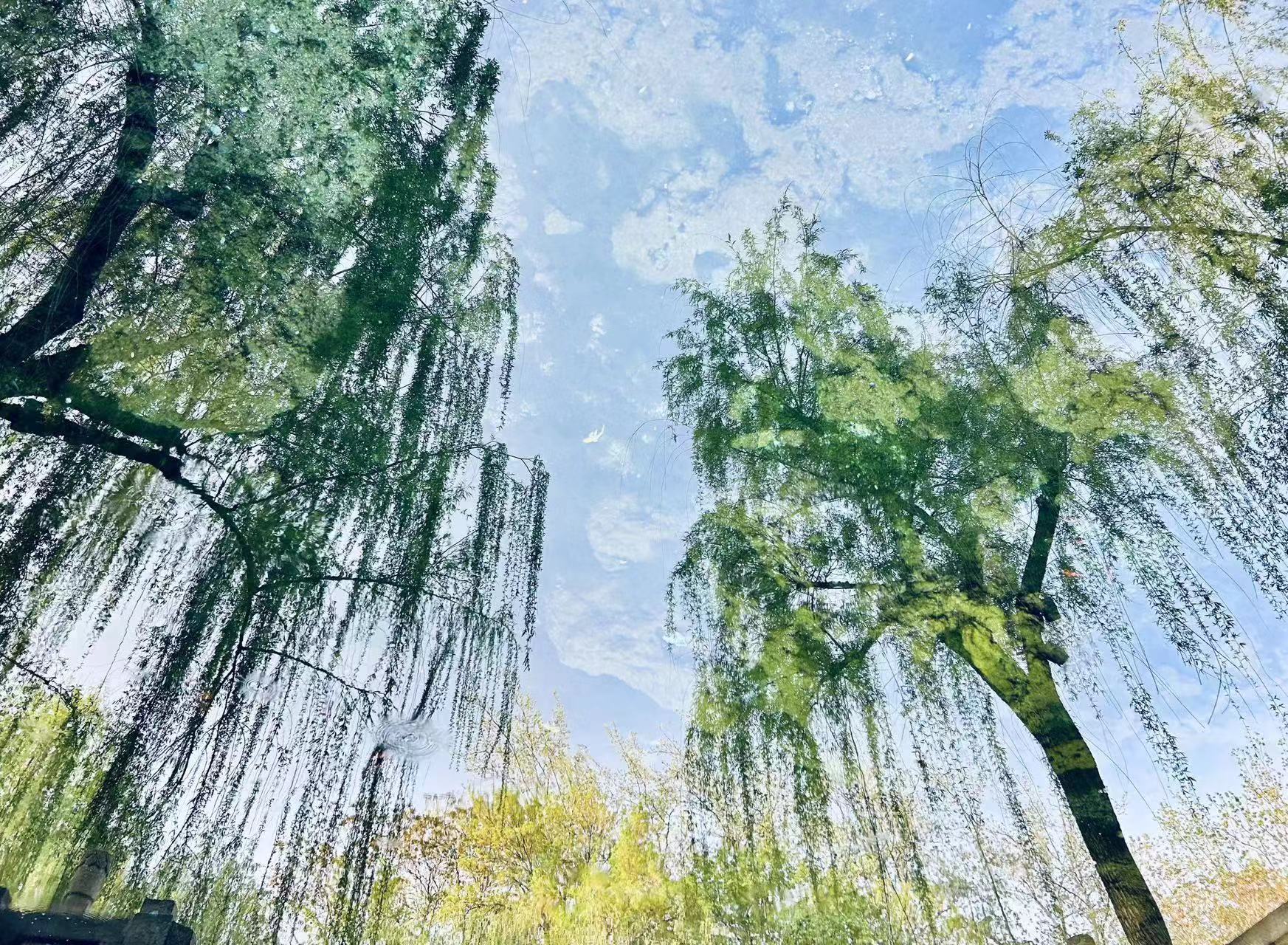 77779193永利官网